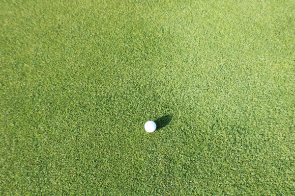 platinum-te-paspalum-golf-600×400